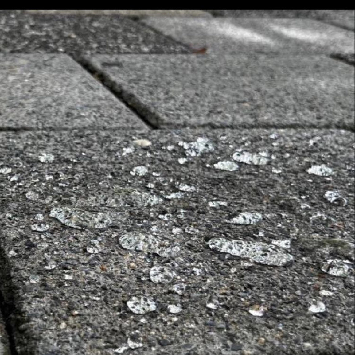 Bead Away EcoLine Concrete & Stone coating